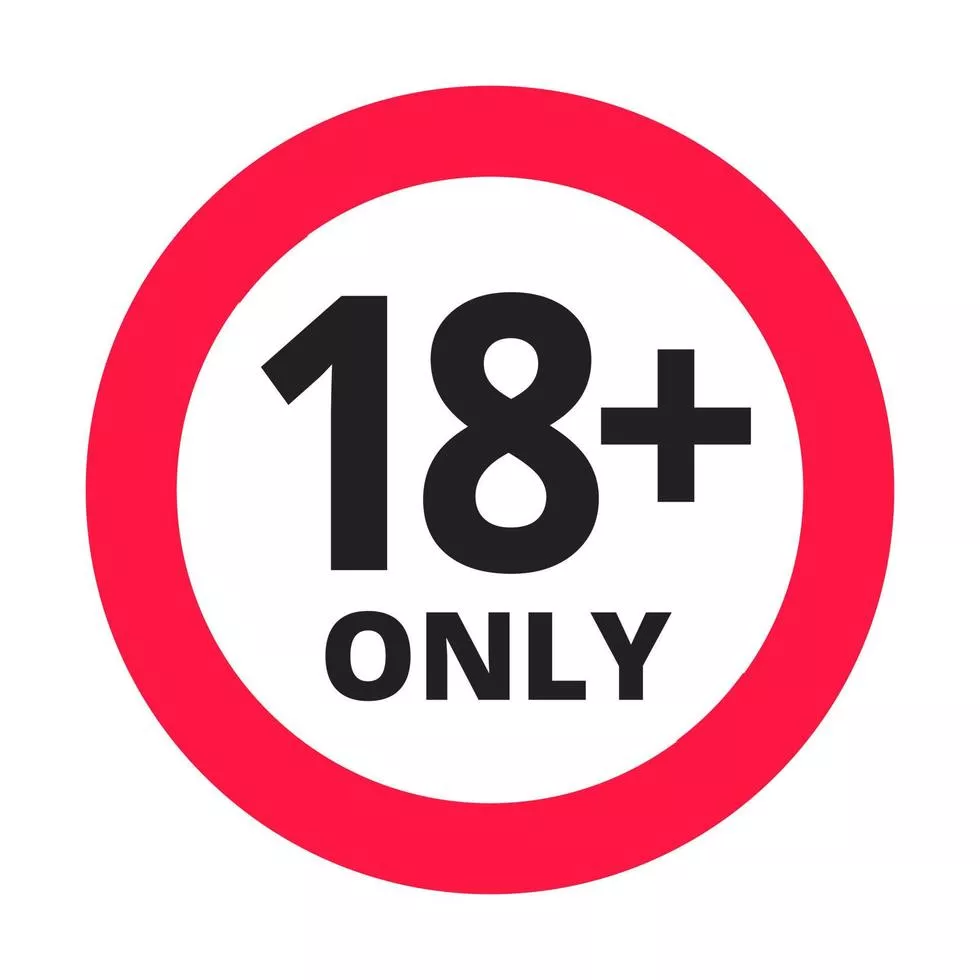 NOCH 15847HO Voyeurs