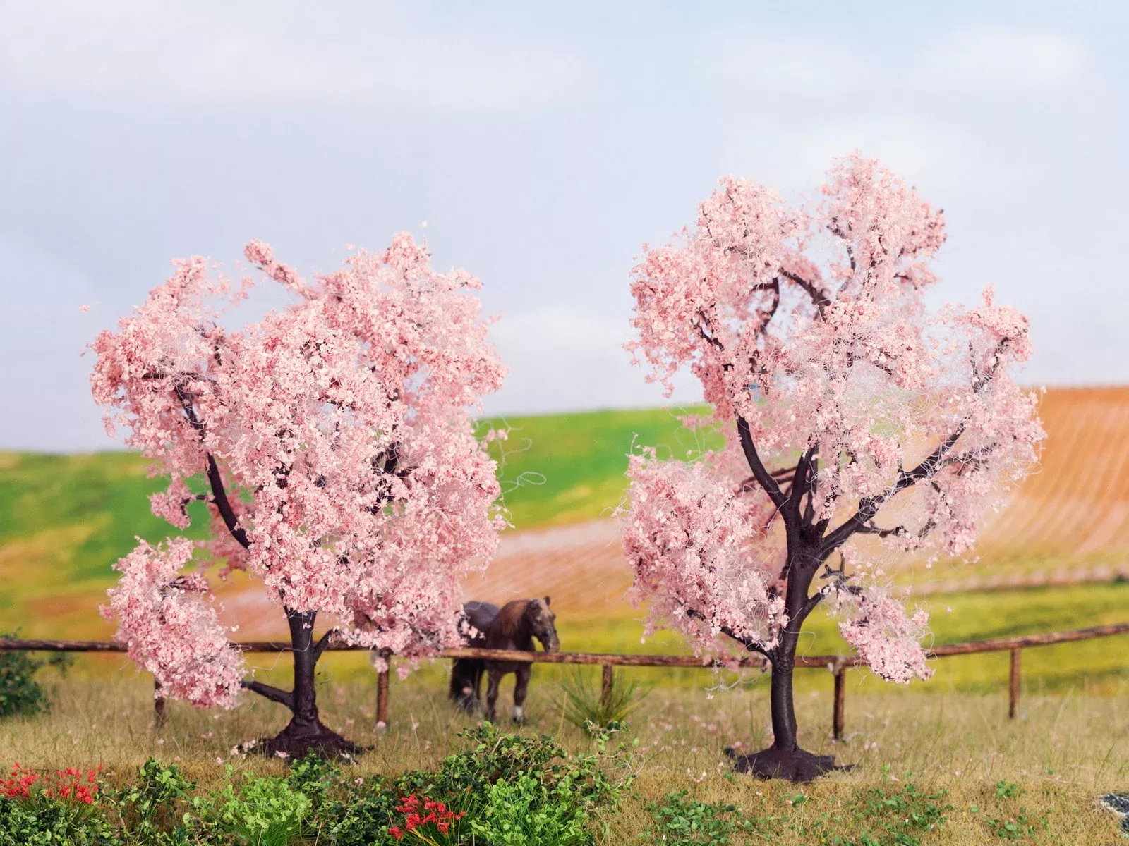 Noch 21996 All Scale Blooming Almond Trees, 8 & 9 cm, Set of 2