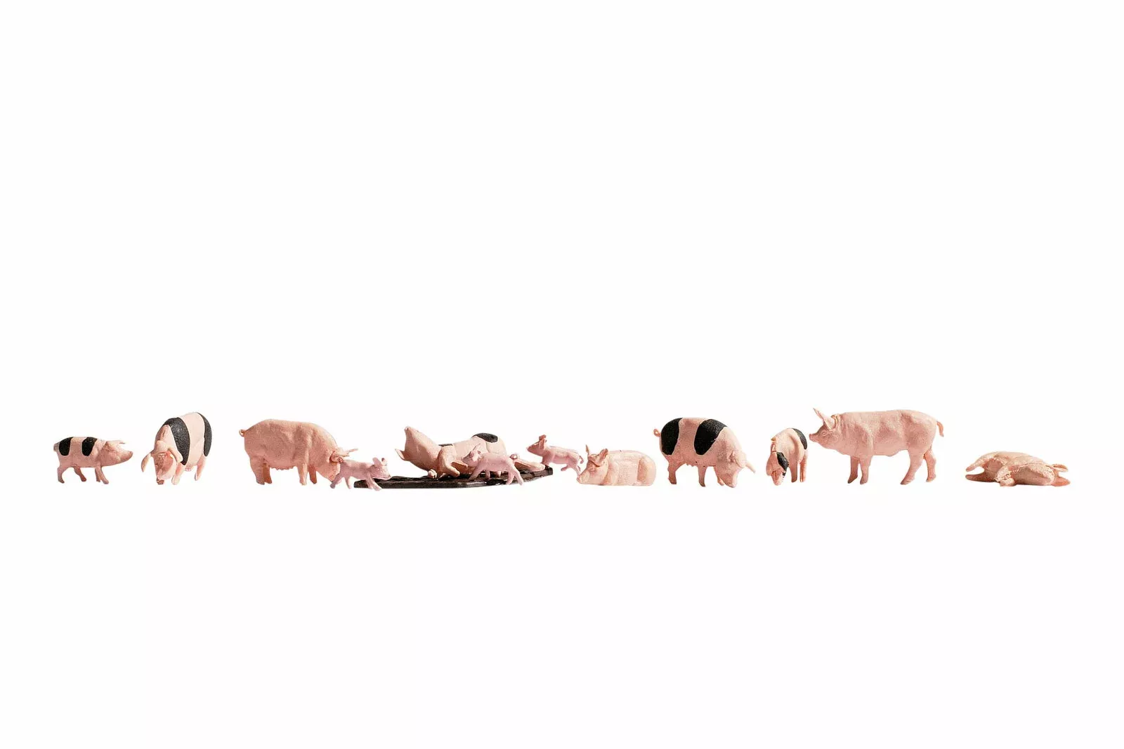 Noch 36712 N Scale Pigs & Piglets Set, pkg(12)